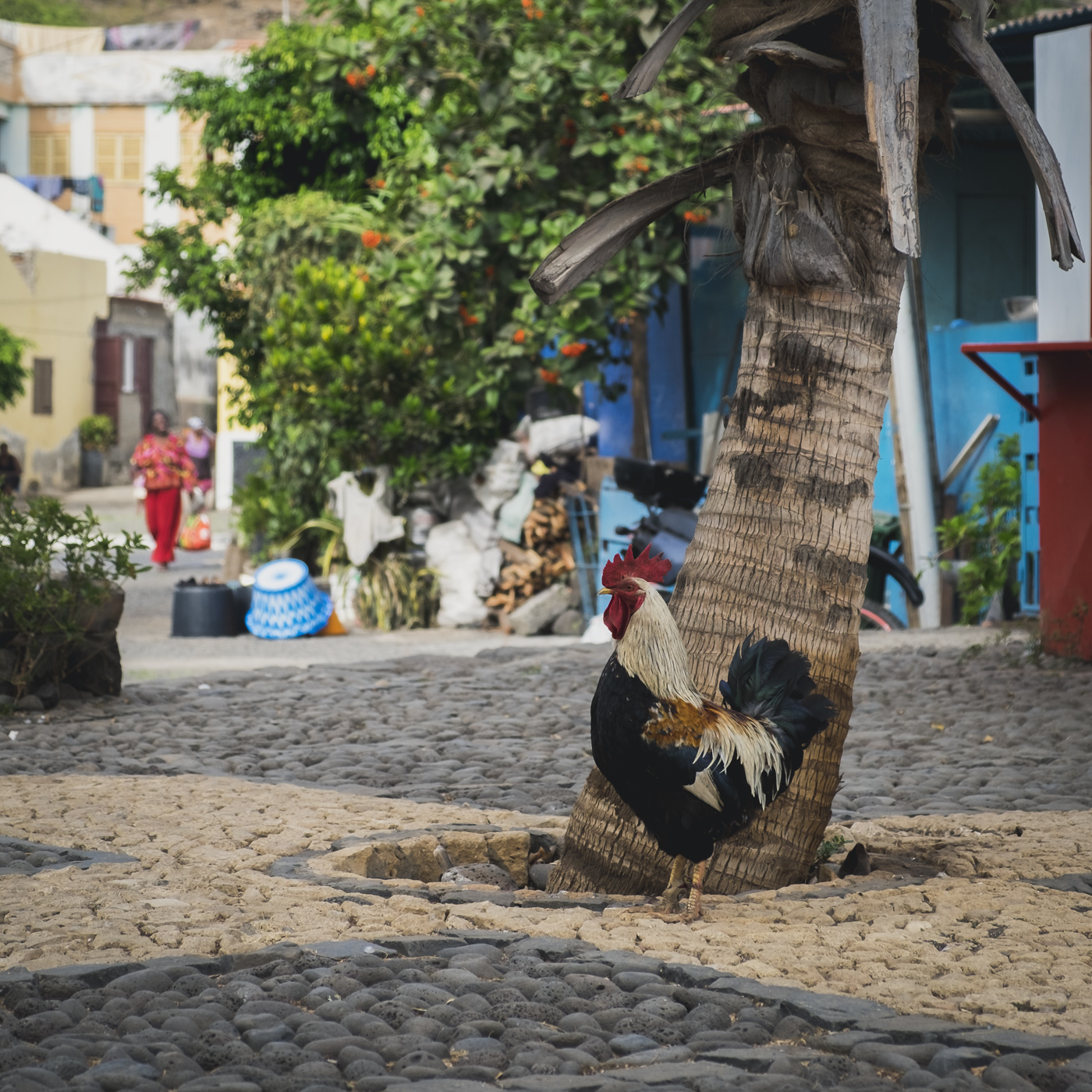 Cidade Vehla, Cap-Vert